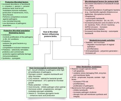 Microbiota dynamics, metabolic and immune interactions in the cervicovaginal environment and their role in spontaneous preterm birth